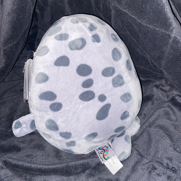 Isis the Seal Squishmallow - Picture 2 of 3